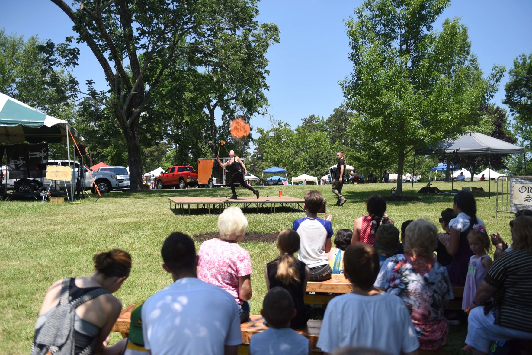 Festival in the Park